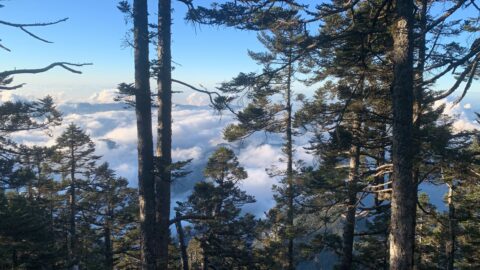 Climb Yushan